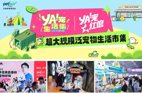 邮轮出境游将有新选择
